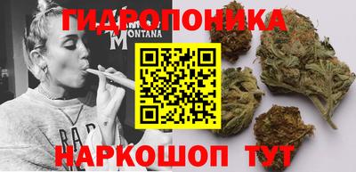 гашик Анапа