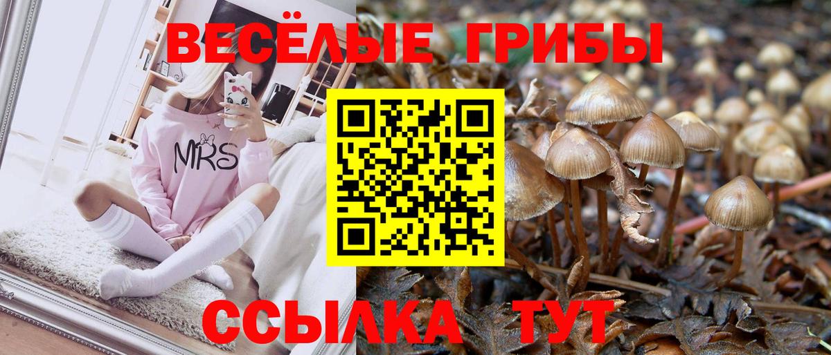 Великий Новгород  Псилоцибиновые грибы Psilocybine cubensis  Вход с VPN  Псилоцибиновые грибы мицелий 
